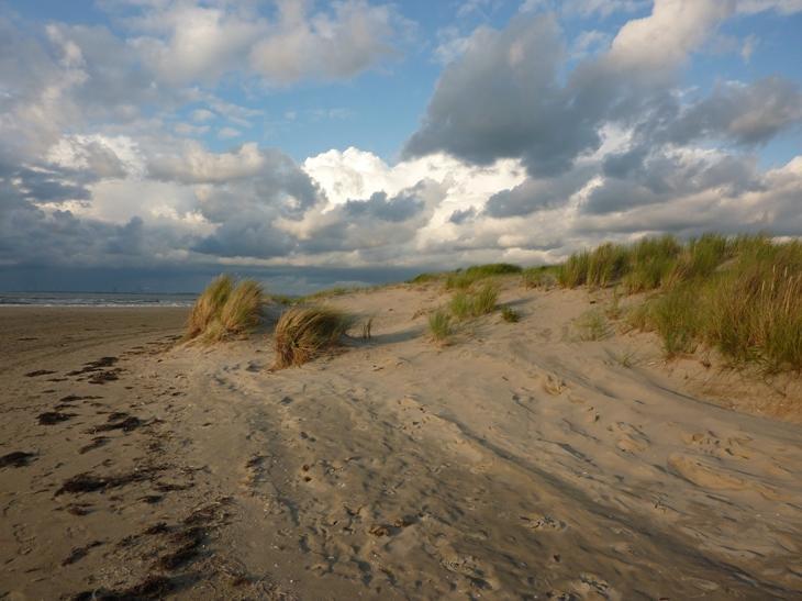 Het Duinhuisje Goedereede Exterior foto