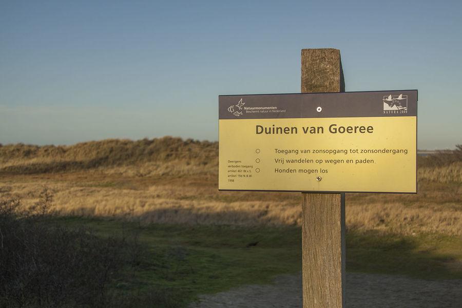 Het Duinhuisje Goedereede Exterior foto